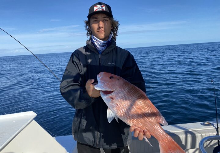 Main Slideshow – Red Snapper