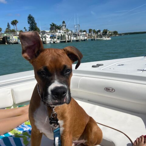 spencer boat